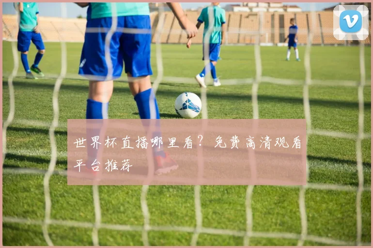 世界杯直播哪里看？免费高清观看平台推荐